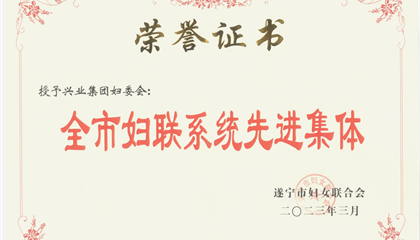 喜報！興業(yè)集團婦委會榮獲“全市婦聯(lián)系統(tǒng)先進集體”榮譽稱號